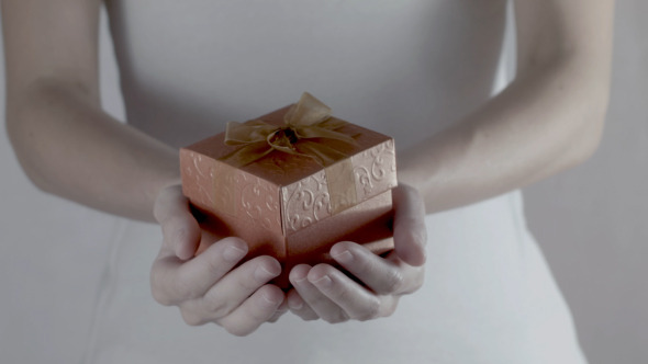 Gift Box In Hand 08