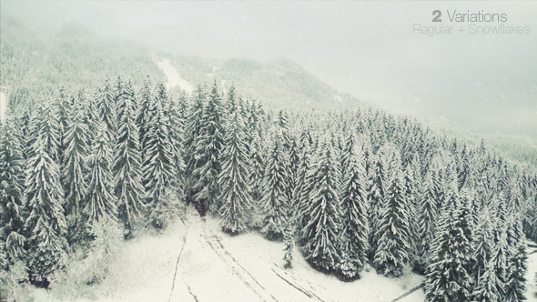 Flying in the Winter