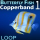 Fish Copperband 1 - VideoHive Item for Sale