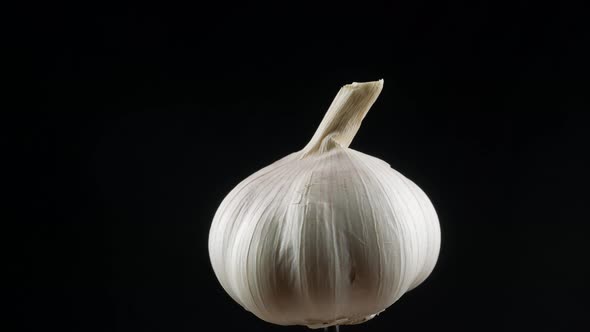 Raw garlic close up