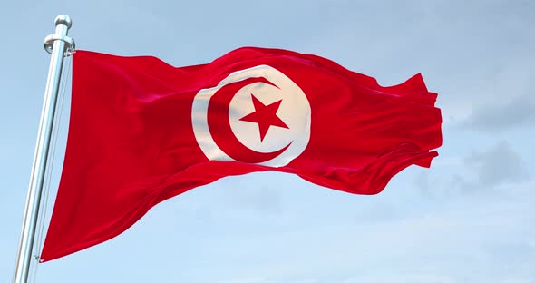 Tunisia Flag Waving  Loop  4 K