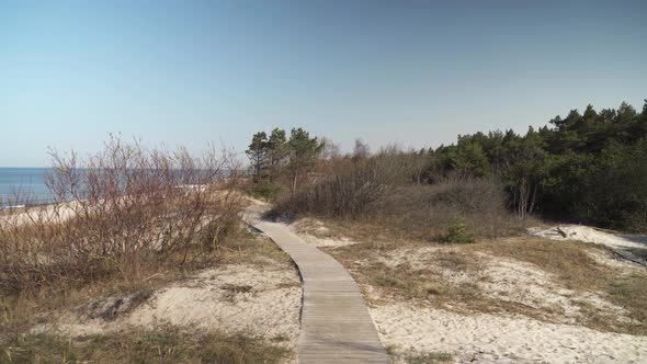 Wooden Path near Melnrage Beach Leading into the Pine Forest in Klaipeda