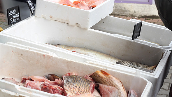 Fish on Market Stalls