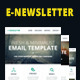 E-Newsletter - Multipurpose  Email Template - ThemeForest Item for Sale