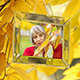 Gallery Golden Autumn - VideoHive Item for Sale