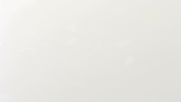 Close Up of Milk Dropping alt