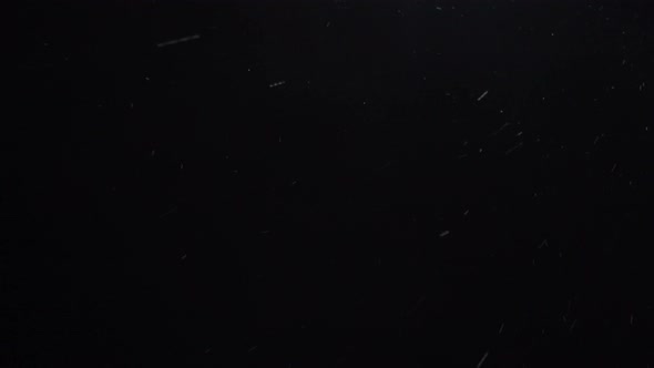 Looped Video Snowfall Against Black Night Sky Fresh White Snow Falling