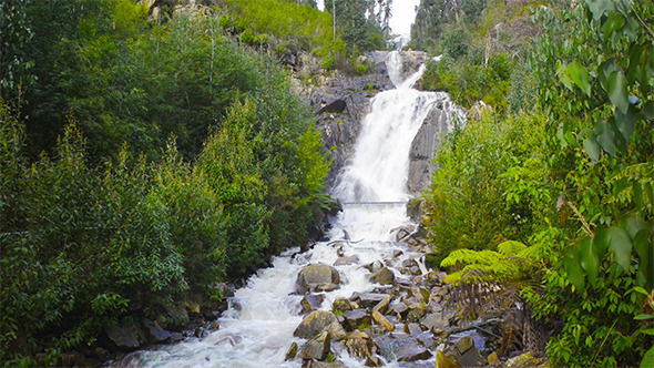 Steavenson Falls Waterfall