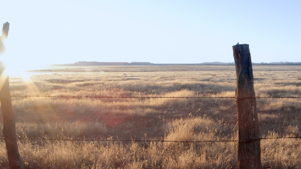 Ranch Country Side