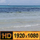 Tropical Shell Sunny Beach - VideoHive Item for Sale