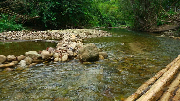 Bamboo Rafting