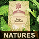 Invitation Card Mockup Nature Series Volume1 - GraphicRiver Item for Sale