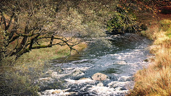 River Through Pretty Countryside