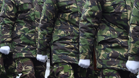 Soldiers Walking alt