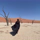A Young Woman in a Long Black Dress Walks Through the Desert - VideoHive Item for Sale