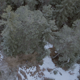 Snowy Forrest Aerial Drone - VideoHive Item for Sale