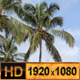 Tropical Bird Flying in the Palms - VideoHive Item for Sale