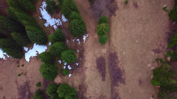 Aerial View of Trees and Meadows in Spring Colorful Carpathian Countryside with Remnants of Snow