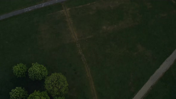 Swing up camera shot in Munich. Drone swing up from the green park "Englischer Garten" up to the Kle