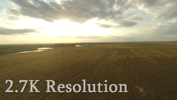 Golden Wheat Field Panorama