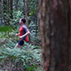 Running Through The Forest - VideoHive Item for Sale