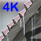 Rain From Metal Roof - VideoHive Item for Sale