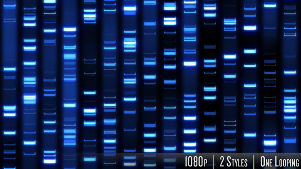 DNA Fingerprint Sequence