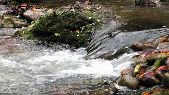 Fresh Creek Cascade in Autumn