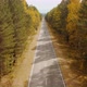 Beautiful autumn landscape Road in the forest Eastern Sayan Siberia Buryatia Arshan - VideoHive Item for Sale