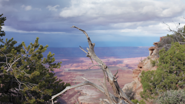 Amazing Rock Structures At Canyonlands, Utah, Usa