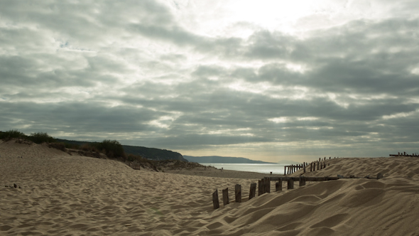 Cadiz Beach, Protected Dunes