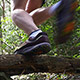 Runner Jumping Over a Tree in the Rain Forest - VideoHive Item for Sale