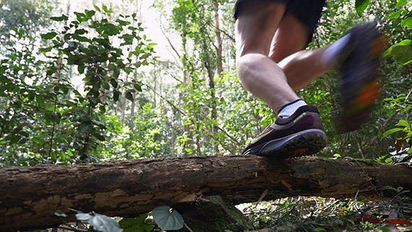 Runner Jumping Over a Tree in the Rain Forest