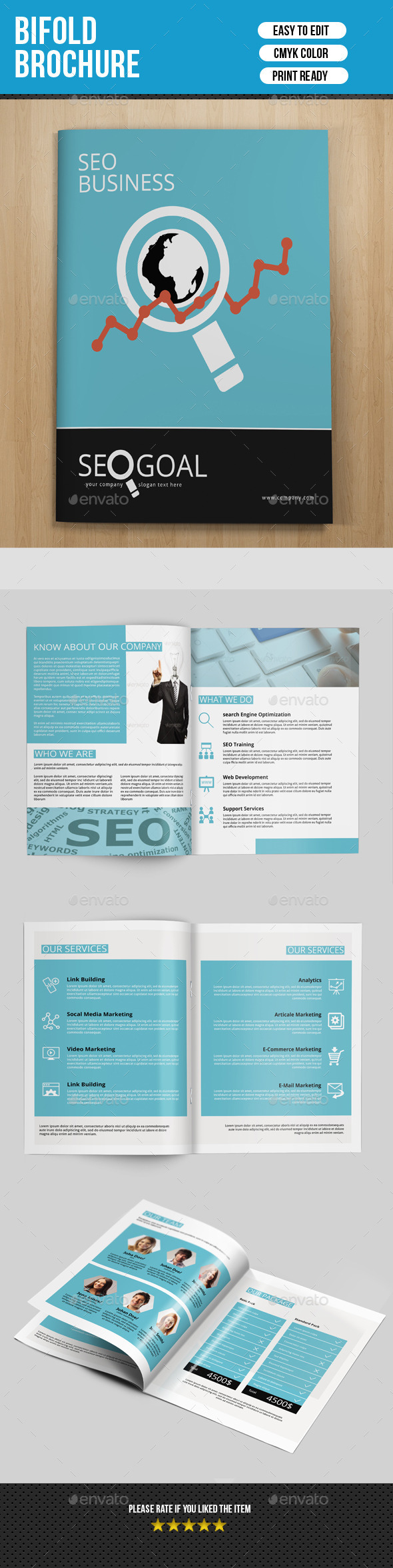 8 Pages SEO Business Brochure-V172