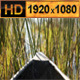 Sailing Traditional Mokoro in the Okavango Delta - VideoHive Item for Sale