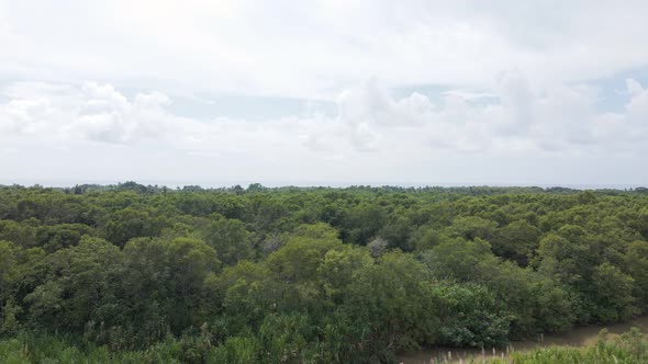 Aerial ascending flyover shot of Costa Rica's wetlands bordering the warm pacific ocean.