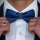 Bow Tie - VideoHive Item for Sale