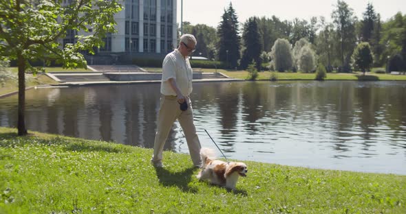 Slider Shot of Elderly Man Walking Dog in Park By Lake