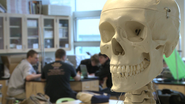 Skeleton In Science Class (2 of 3)