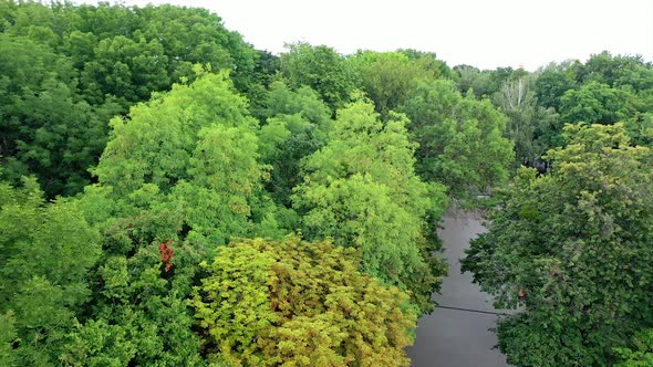 Aerial Cityscape View. Amazing view of green park and cityscape