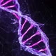 Motion Background Digital Plexus DNA molecule strand HD Loop pink purple violet - VideoHive Item for Sale