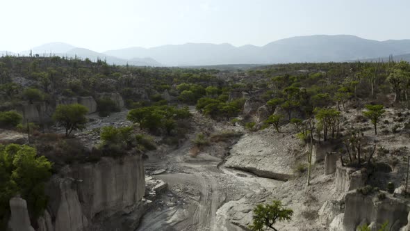 Shrubbery in Arid, Desolate Mexico Desert of Zapotitlan - Aerial