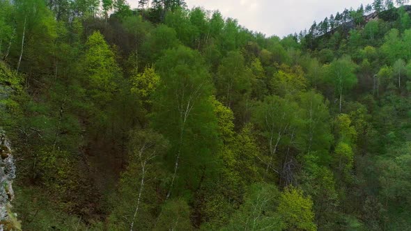 Aerial Video of Mountains and Forest on a Summer Day