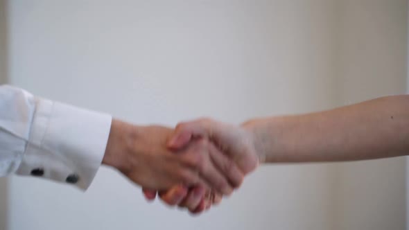 Businessman and Client Shake Hands After Successful Bargain