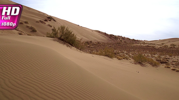 Landscape with Dunes