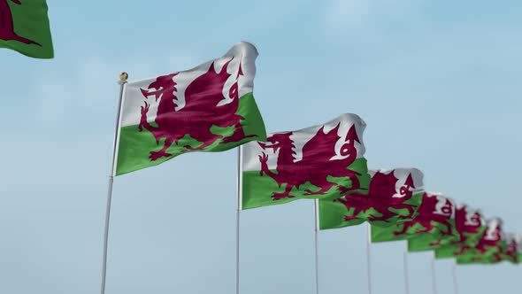 Wales Row Of Flags 