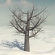 Dead Elm Tree - 3DOcean Item for Sale