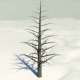 Dead Pine Tree - 3DOcean Item for Sale