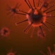 Cells Under Microscope - VideoHive Item for Sale