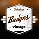 Vintage Badges Pack - VideoHive Item for Sale